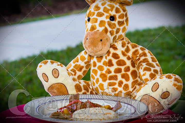 Apple Pineapple Steak Strips and Little G Apple Pineapple Steak Strips and Little G