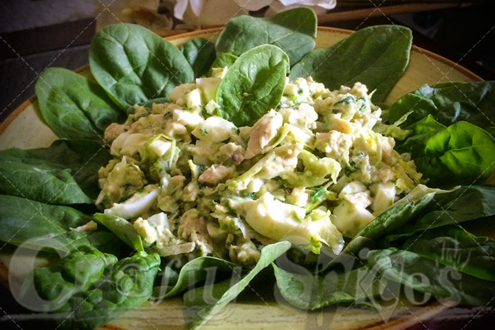 Spinach-Tuna Salad Close-up Spinach-Tuna Salad Close-up