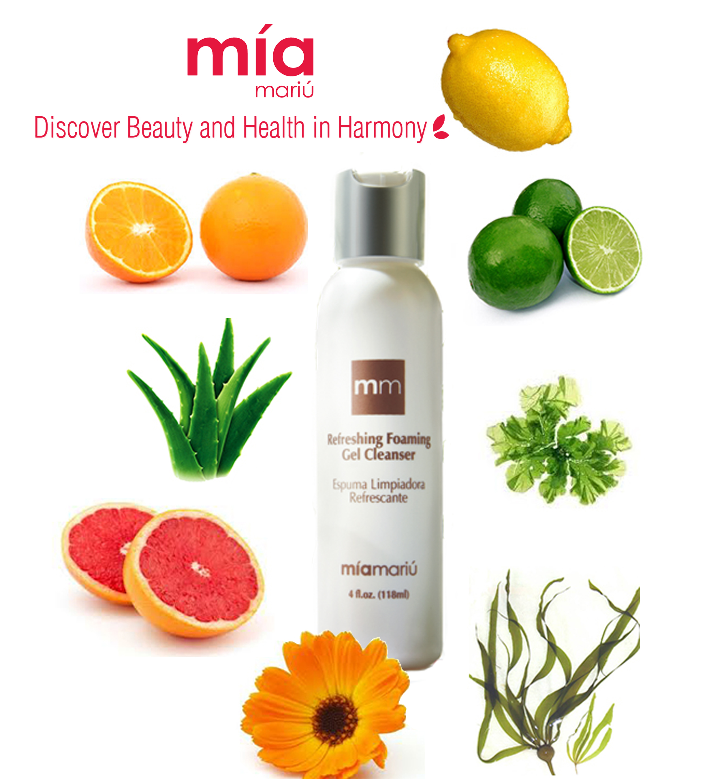 Mia Mariu’s Refreshing Foaming Gel Cleanser Mia Mariu’s Refreshing Foaming Gel Cleanser