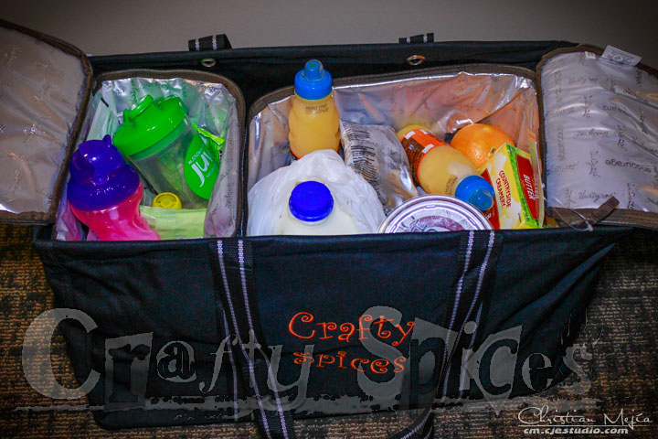 Thirty-One Organizer Tote Thirty-One Organizer Tote