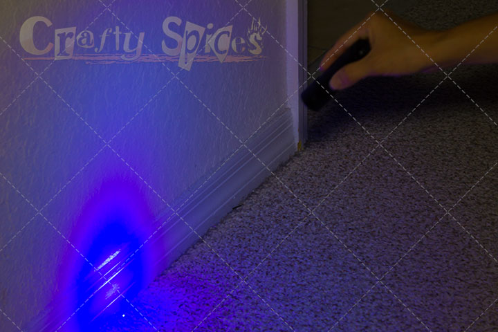 Pet Urine Stain Finder for ALL PET OWNERS - urine spot Pet Urine Stain Finder for ALL PET OWNERS - urine spot