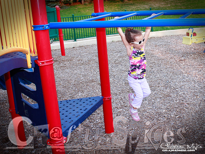 Kira at the Park in the Monkey bars