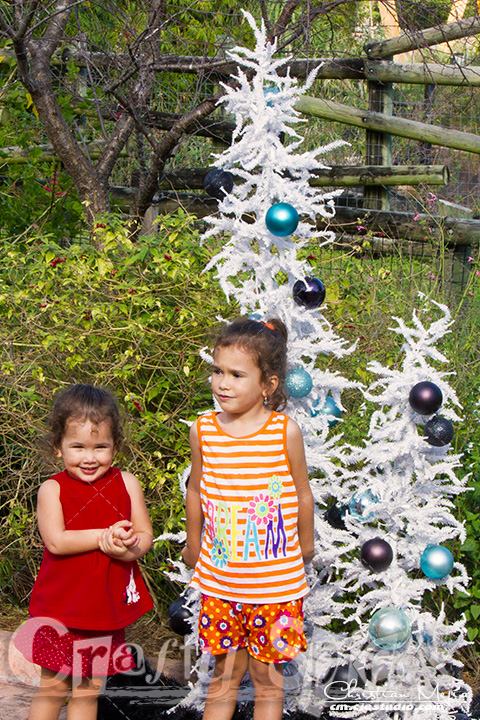 Kira and Me at Busch Gardents Christmas Town