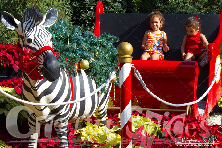 Kira and Kaylee on the Christmas Sled
