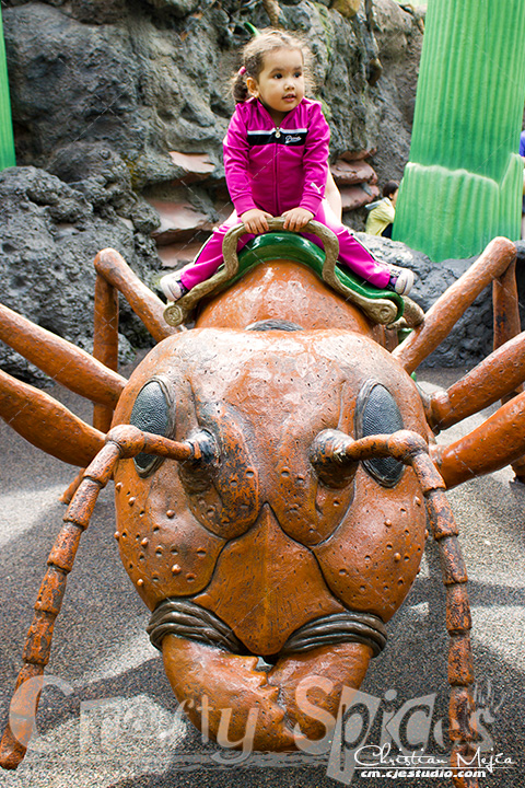Kaylee on a giante ant - Disney World Hollywood Studios Honey I Shrunk the Kids