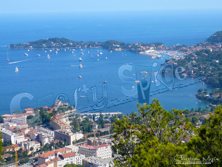 Overview_Cannes