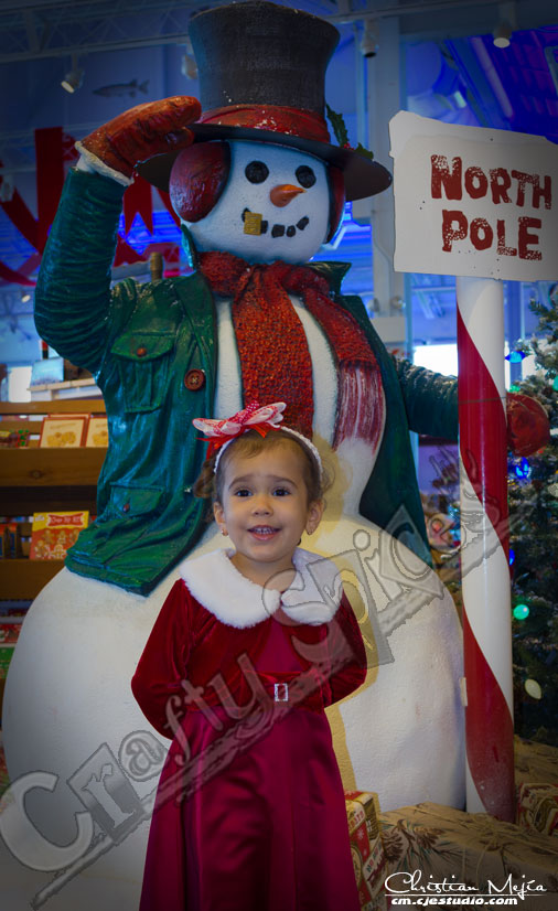 Kira in her Christmas dress