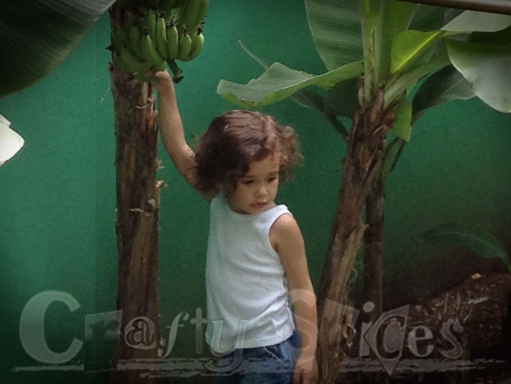 Kira at the Banana Tree