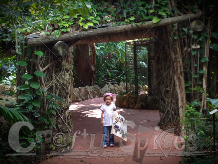 Kira, our Tourist Guide