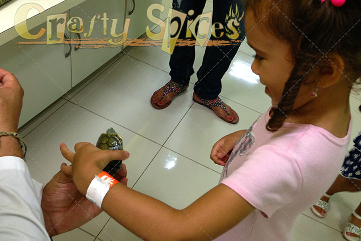 Kira with a real little turtle 