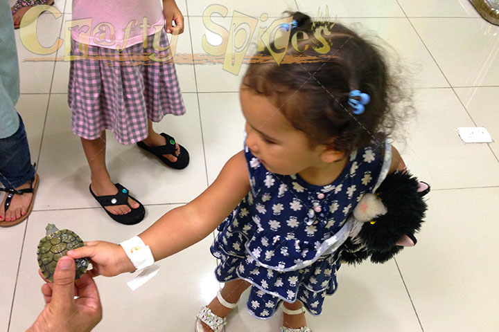 Kaylee with a real little turtle 