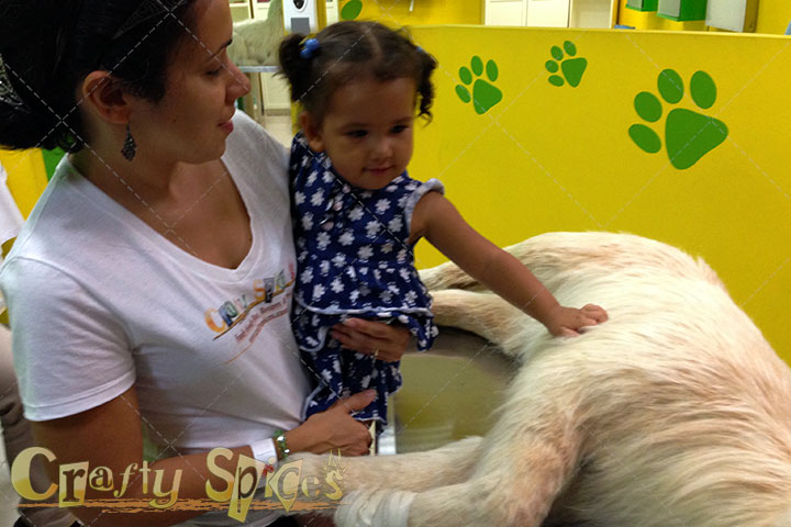 Kaylee feeling the heartbeat of the make believe dog