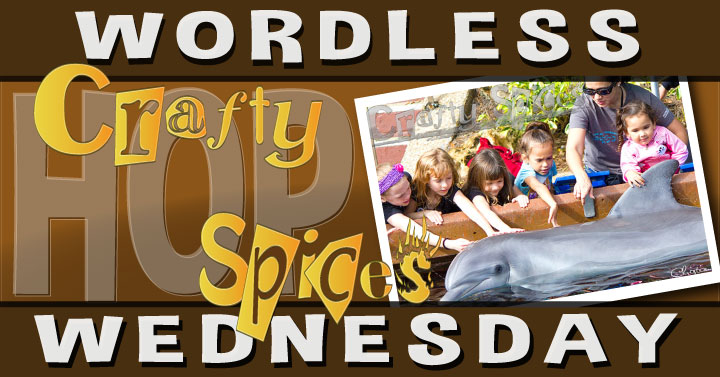 Wordless Wednesday Hop